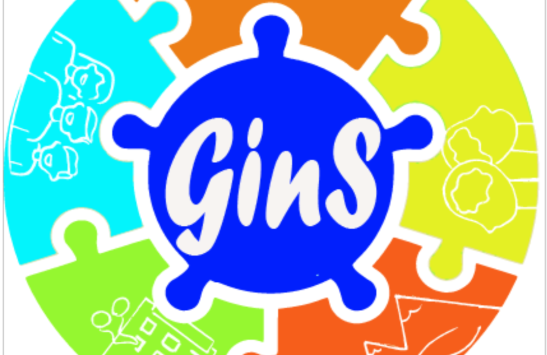 Progetto GINS