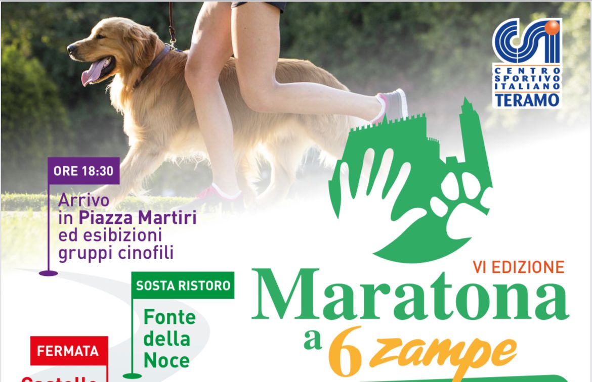 Teramo: il 17 settembre la sesta edizione della Maratona a 6 Zampe